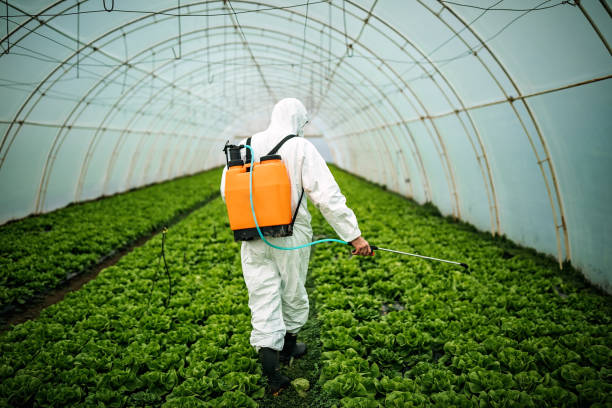 Pest Control for Restaurants in Tonganoxie, KS