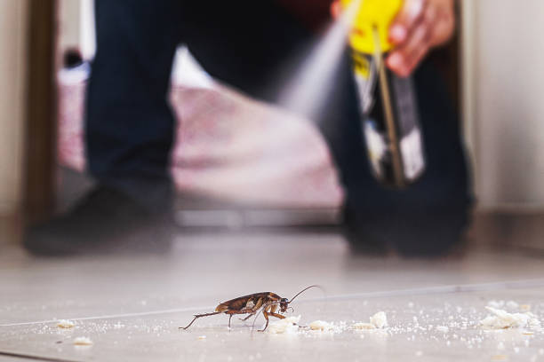 Best Best Pest Control Companies  in Tonganoxie, KS