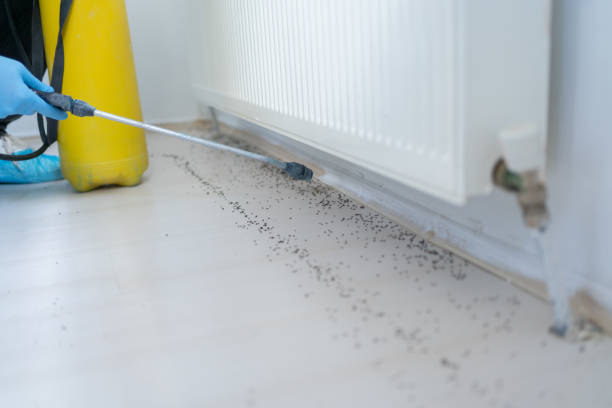 Best Pest Inspection Near Me  in Tonganoxie, KS