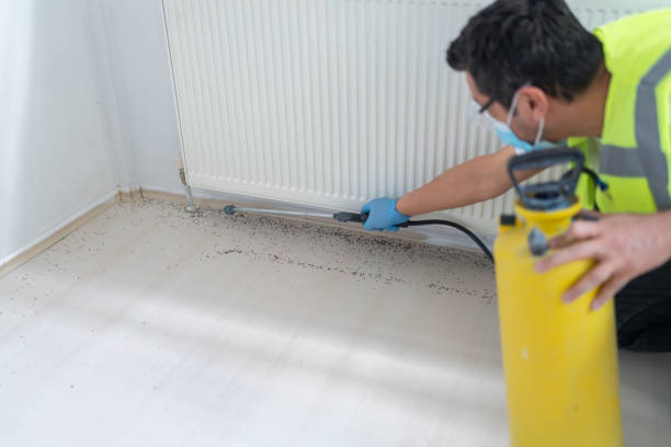 Best Best Pest Control Companies  in Tonganoxie, KS