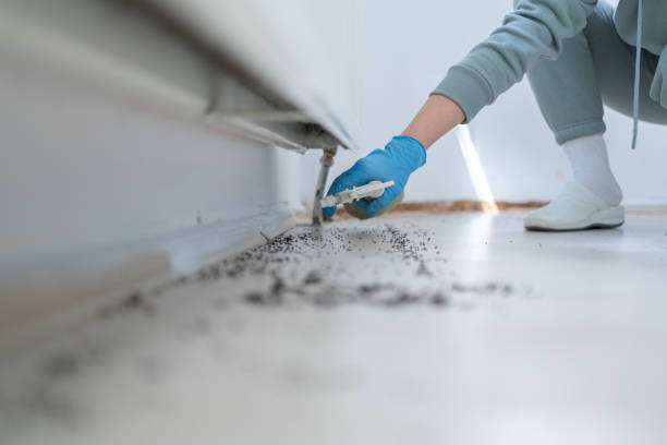Best Flea Control Services  in Tonganoxie, KS